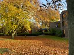 Landscaping, Trevelyan College, Elvet Hill Road, Durham 21/11/2021